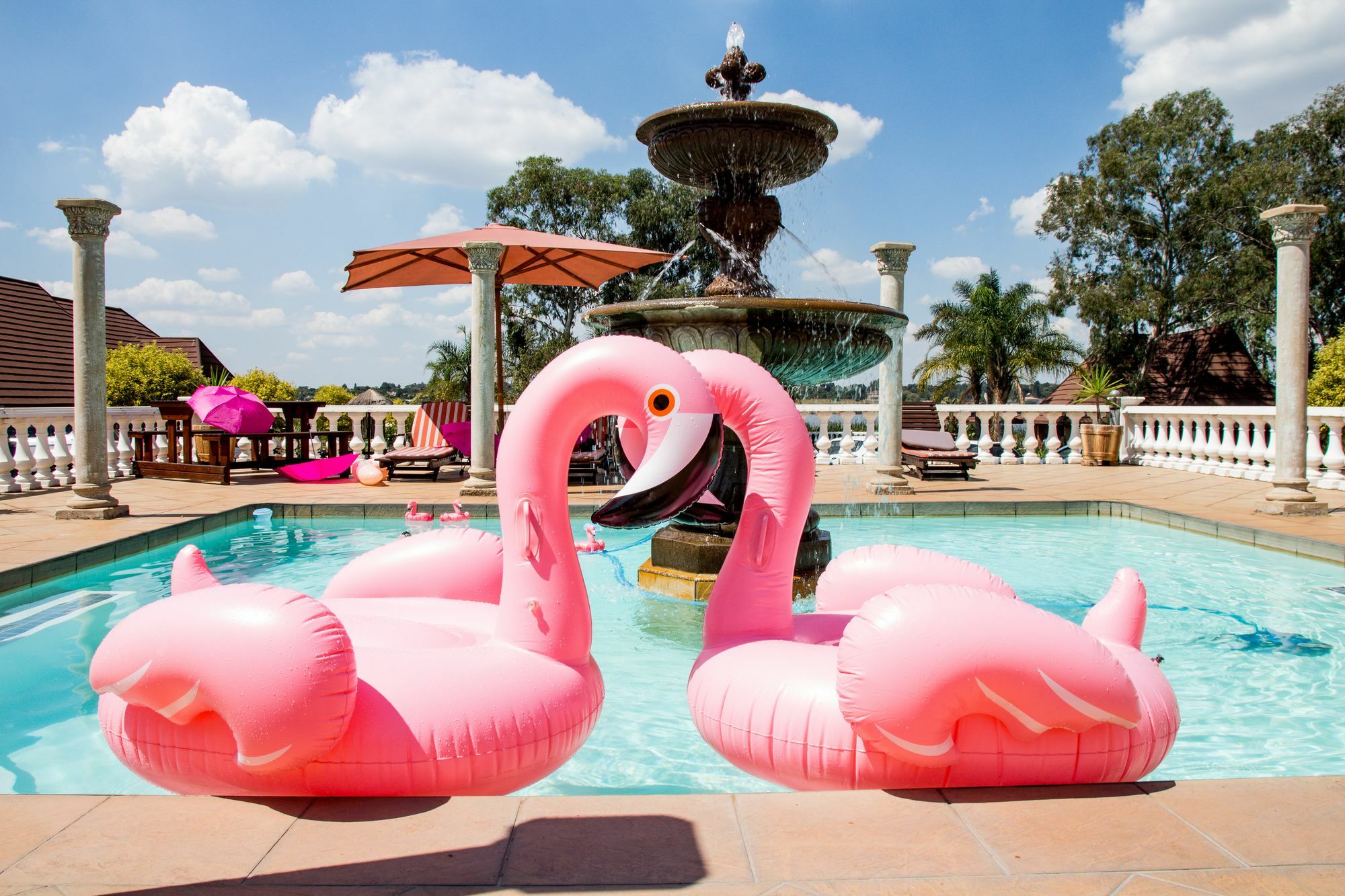 Flamingo'S Nest Guest House Benoni Eksteriør bilde